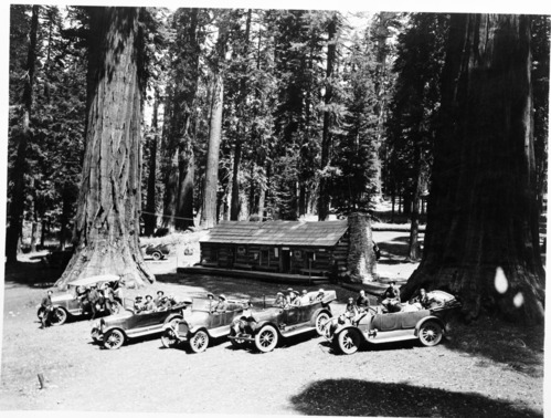 Autos in Mariposa Grove by the Mariposa Grove cabin. Dick schaffer in his Lincoln second from right. On the occasion of an auto run over the old Wawona Road about 1920. Photo copied courtesy of Dick Schaffer. copied by Ralph H. Anderson, copied 1952
