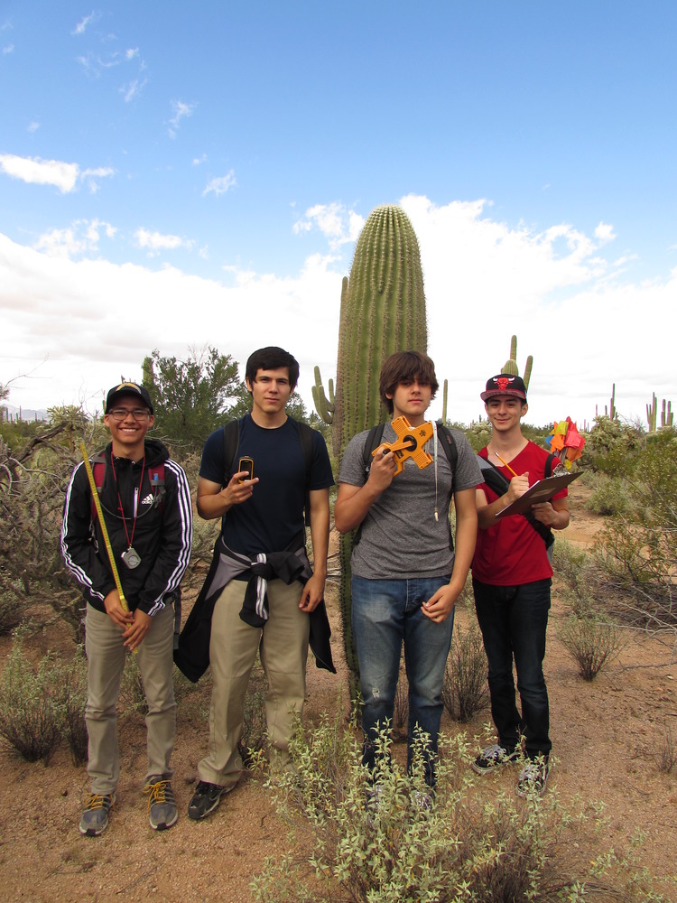 Tucson students surveying saguaros