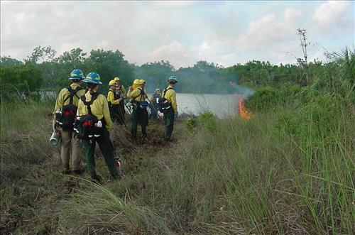 Firefighters on prescribed burns in Everglades NP 2003