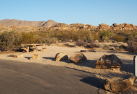 A campsite with a picnic table, firepit, and flat dirt space. Desert vegetation surrounds the campsite. 