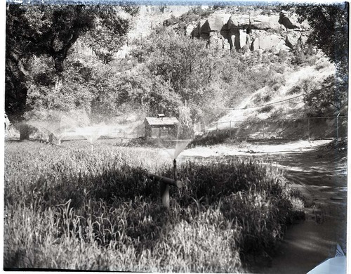 Reconstruction of Birch Creek sewage spray field for Zion Lodge with spray field in operation.