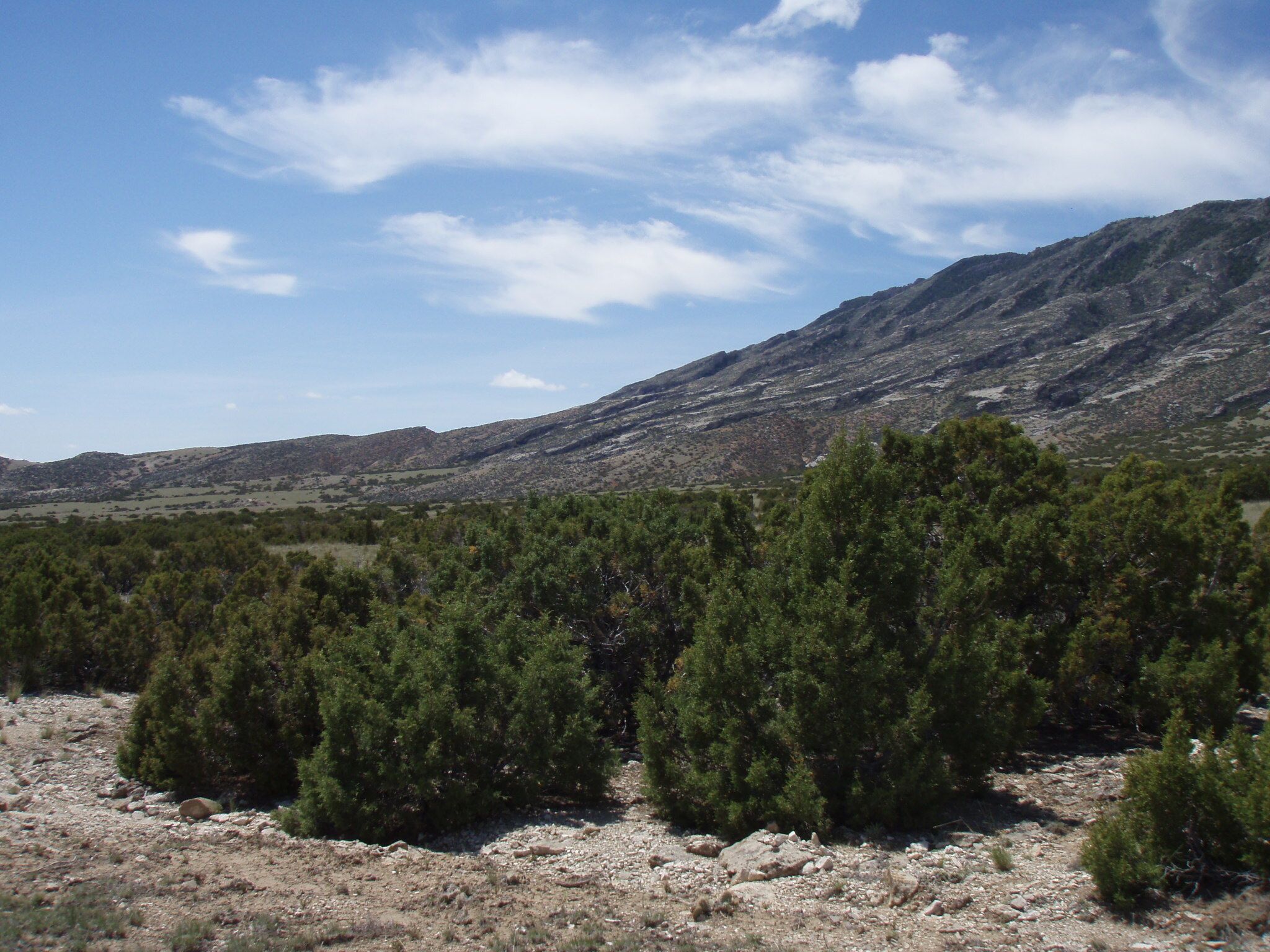 Image of the vegetation and landscape at photo point in Bighorn Canyon NRA 