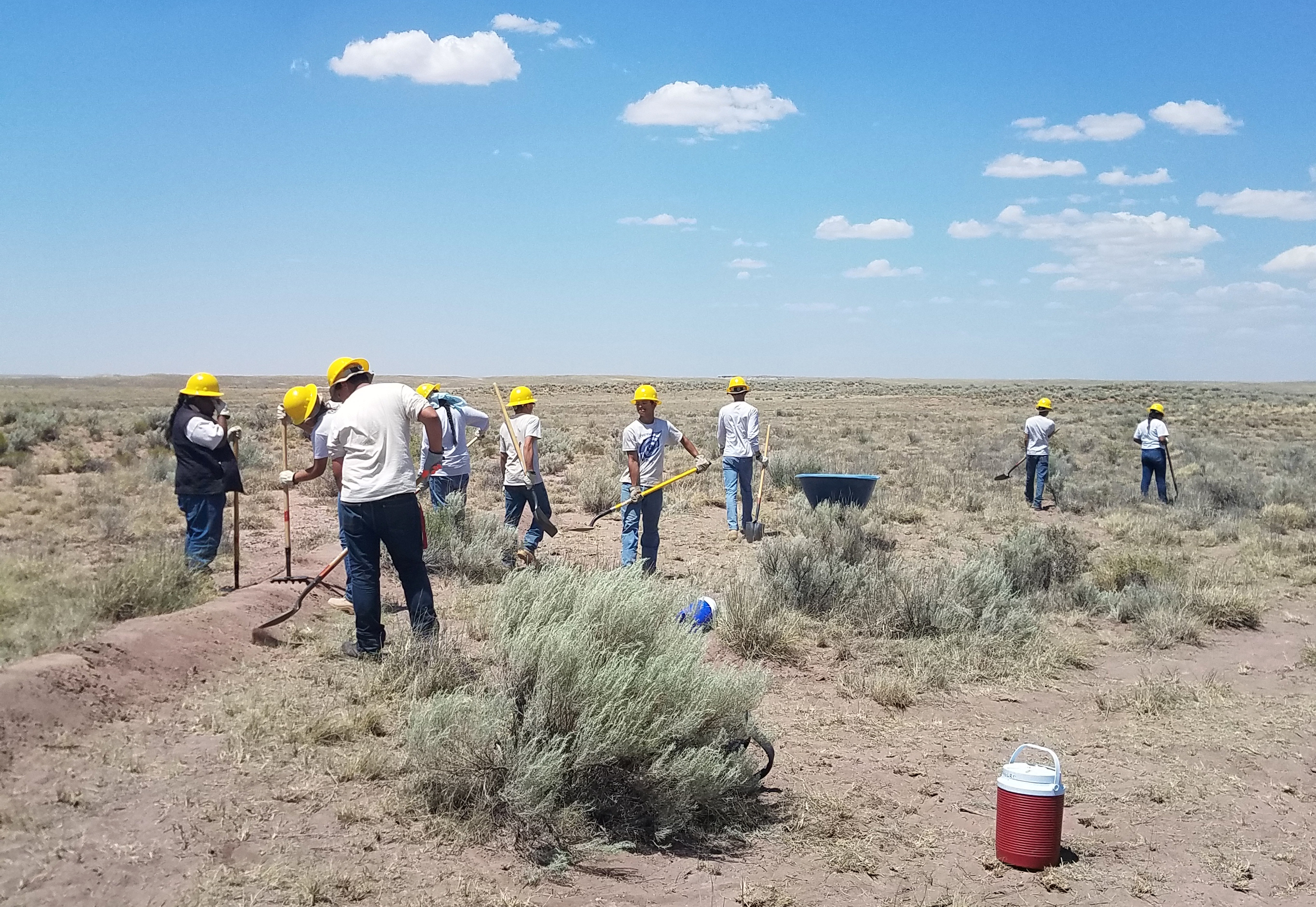 A group of people dig on the prairie with tools under a mostly sunny sky.