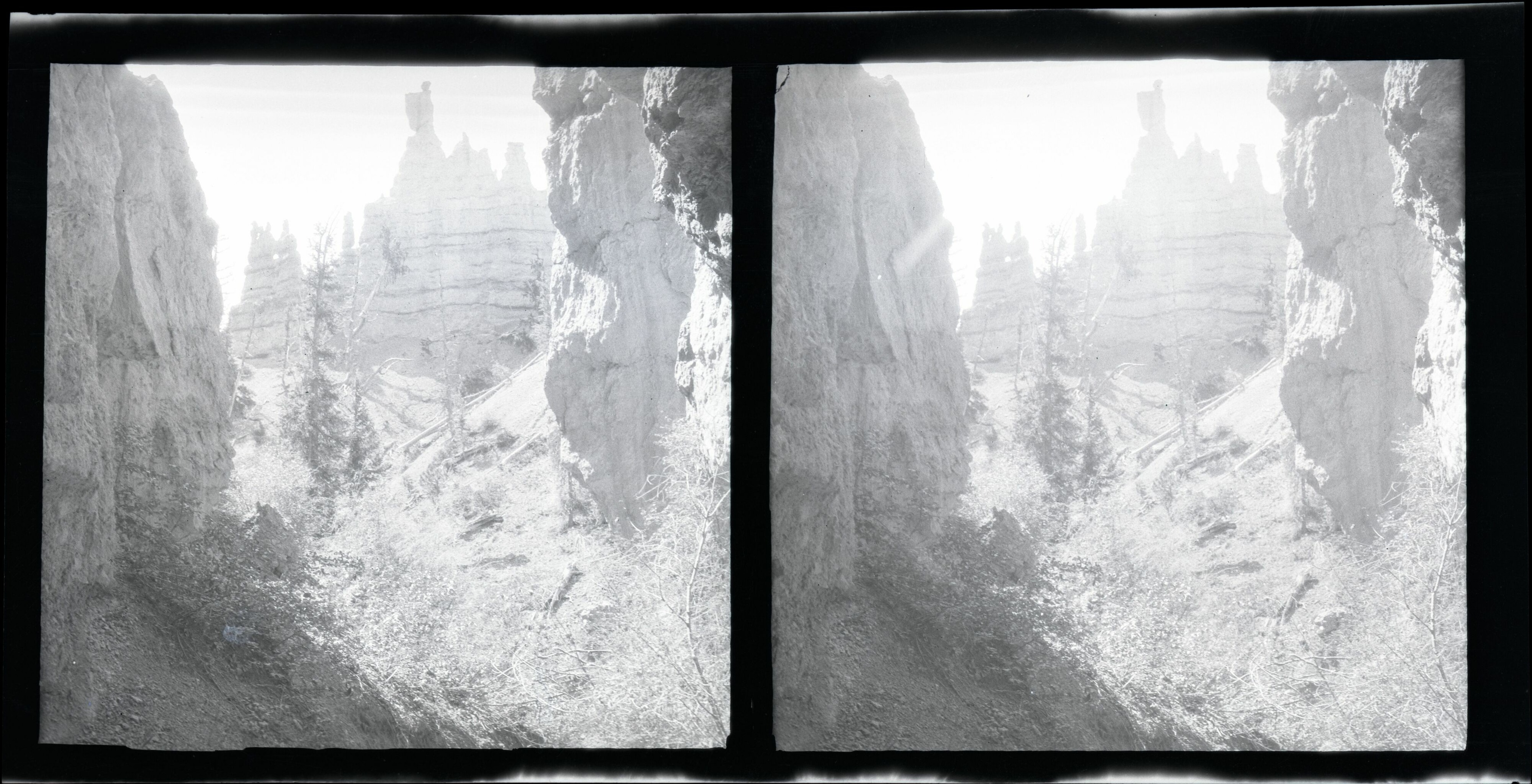 BRCA Museum and Archives Image