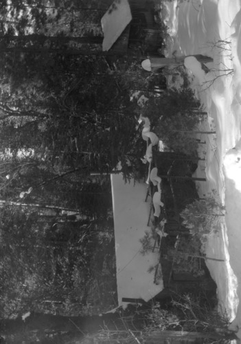 Private land, sec. 33, Wawona.