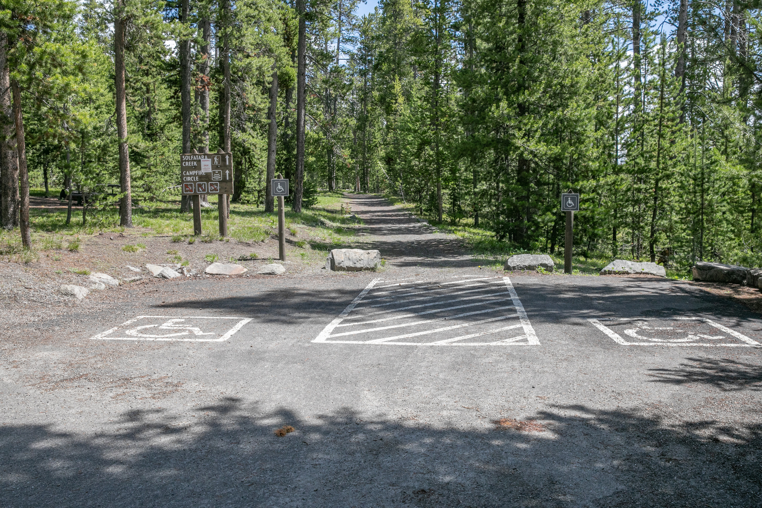 A trails runs out of a parking area through a lodgepole pine forest.