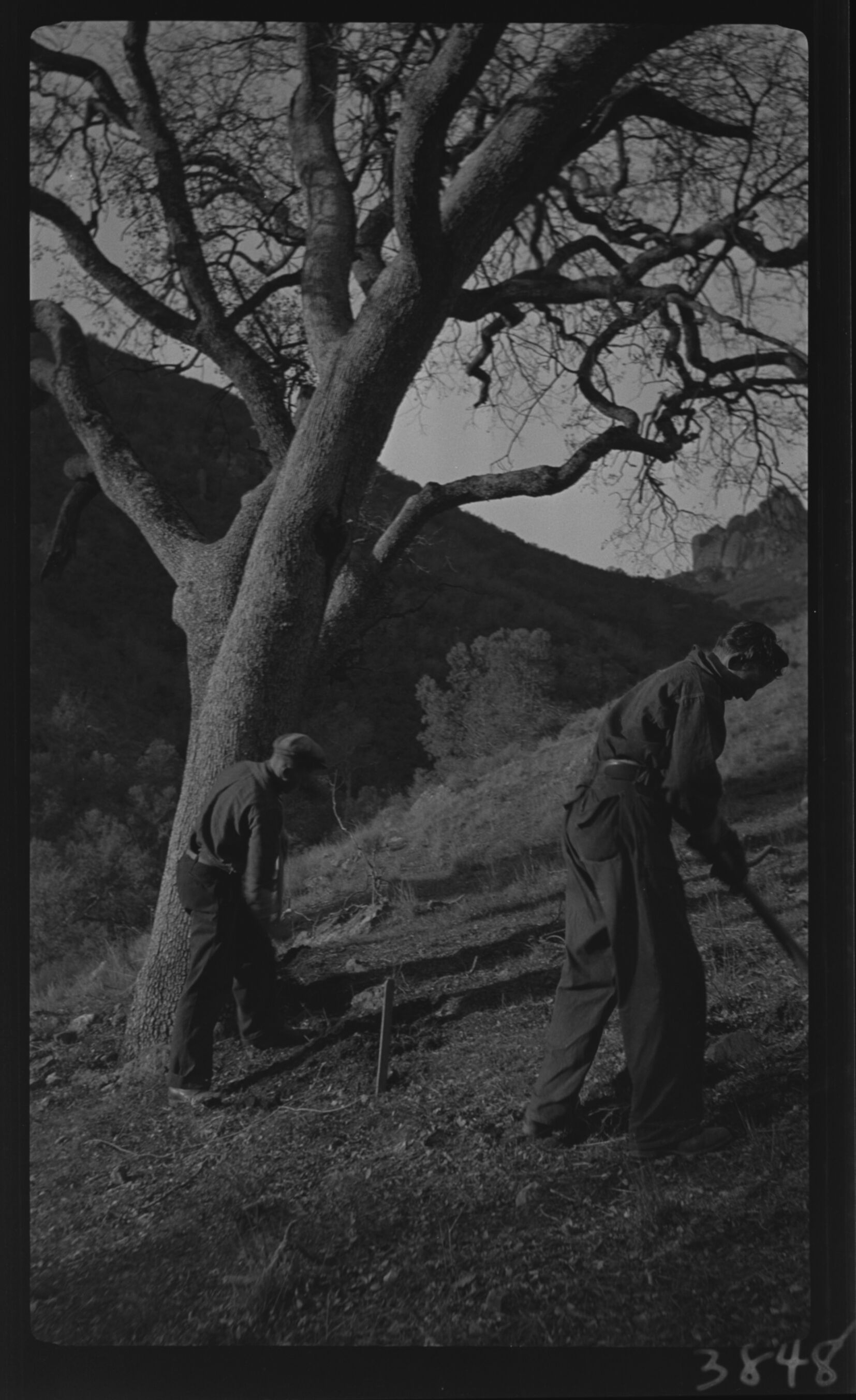 Construction in Pinnacles Landscape
