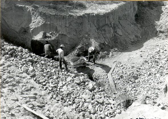 Mockingbird Drop Structure