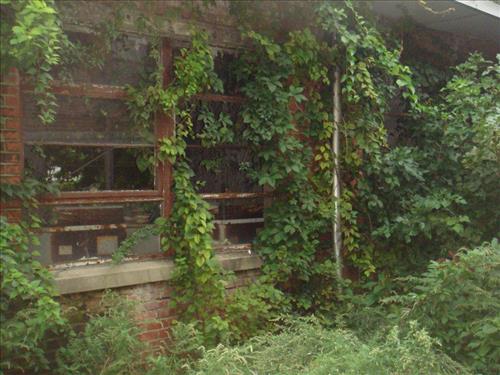 Deteriorated buildings 129, 130, 131, 132 at Floyd Bennett Field, Gateway NRA in 2013