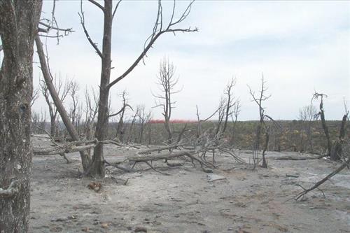 Helicopter involved in fire retardant operations, Long Mesa Fire, Mesa Verde National Park, July-August 2002