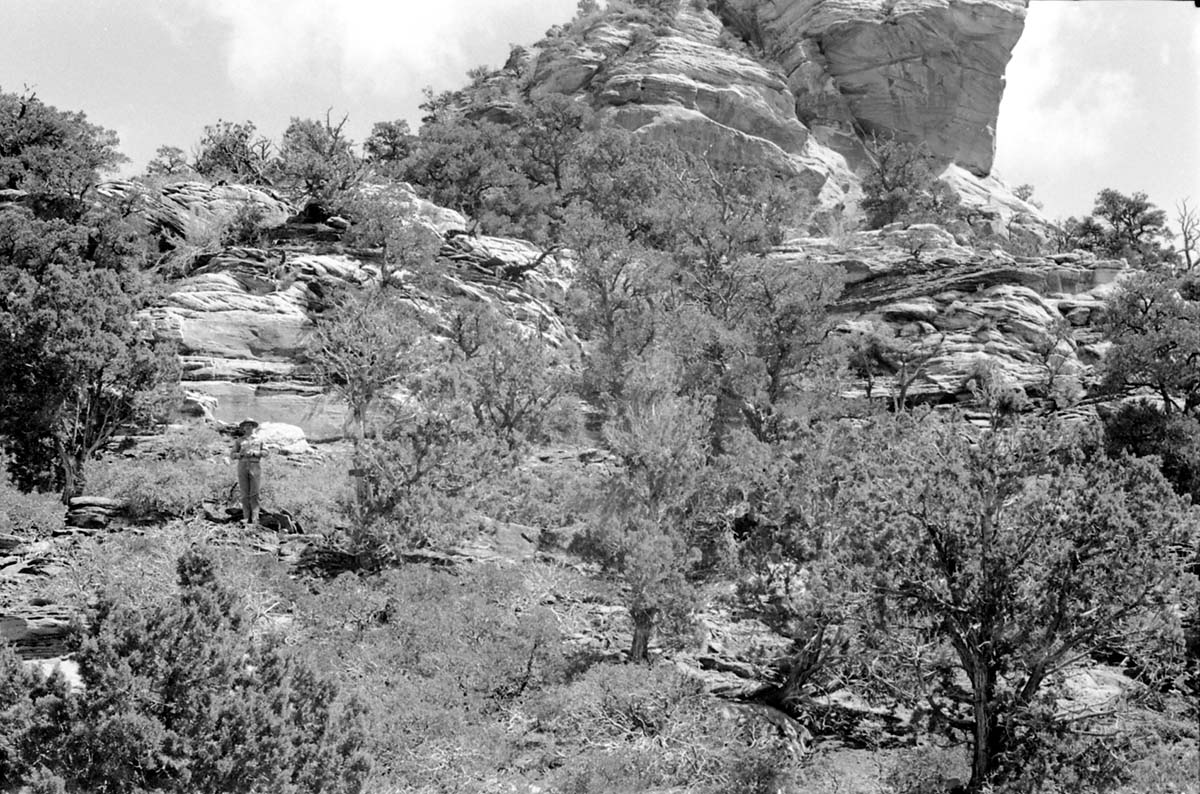 BW photo of the 1937 grazing study 35MM. Photo of ranger on hillside.