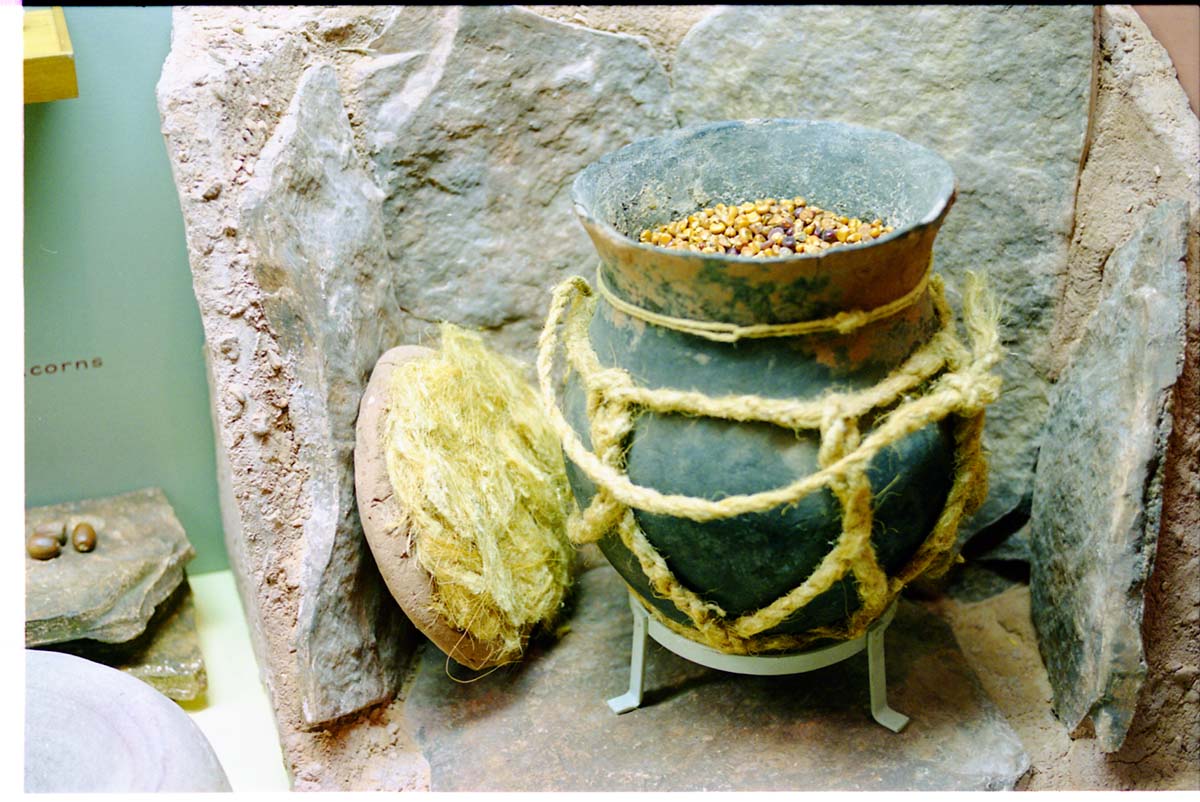 Color photos of prehistoric jar (North Creek Gray) display.
