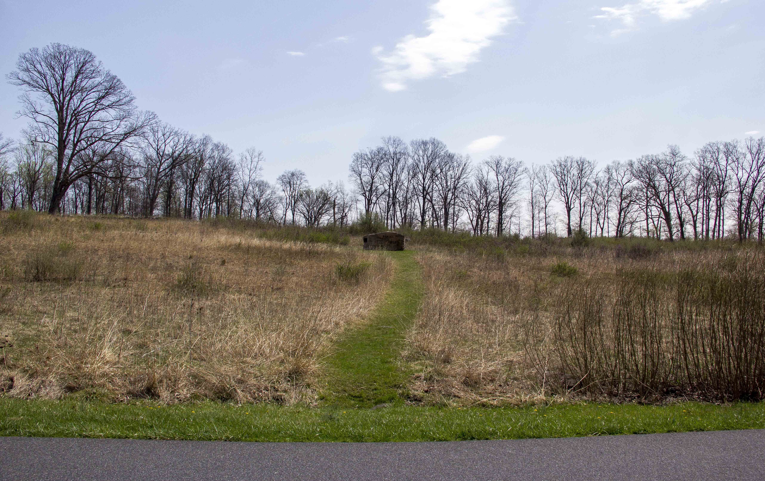 A view of Pardee field before the controlled burn. The Pardee field rock is present in the background. There is a grass path that leads up to the rock. 