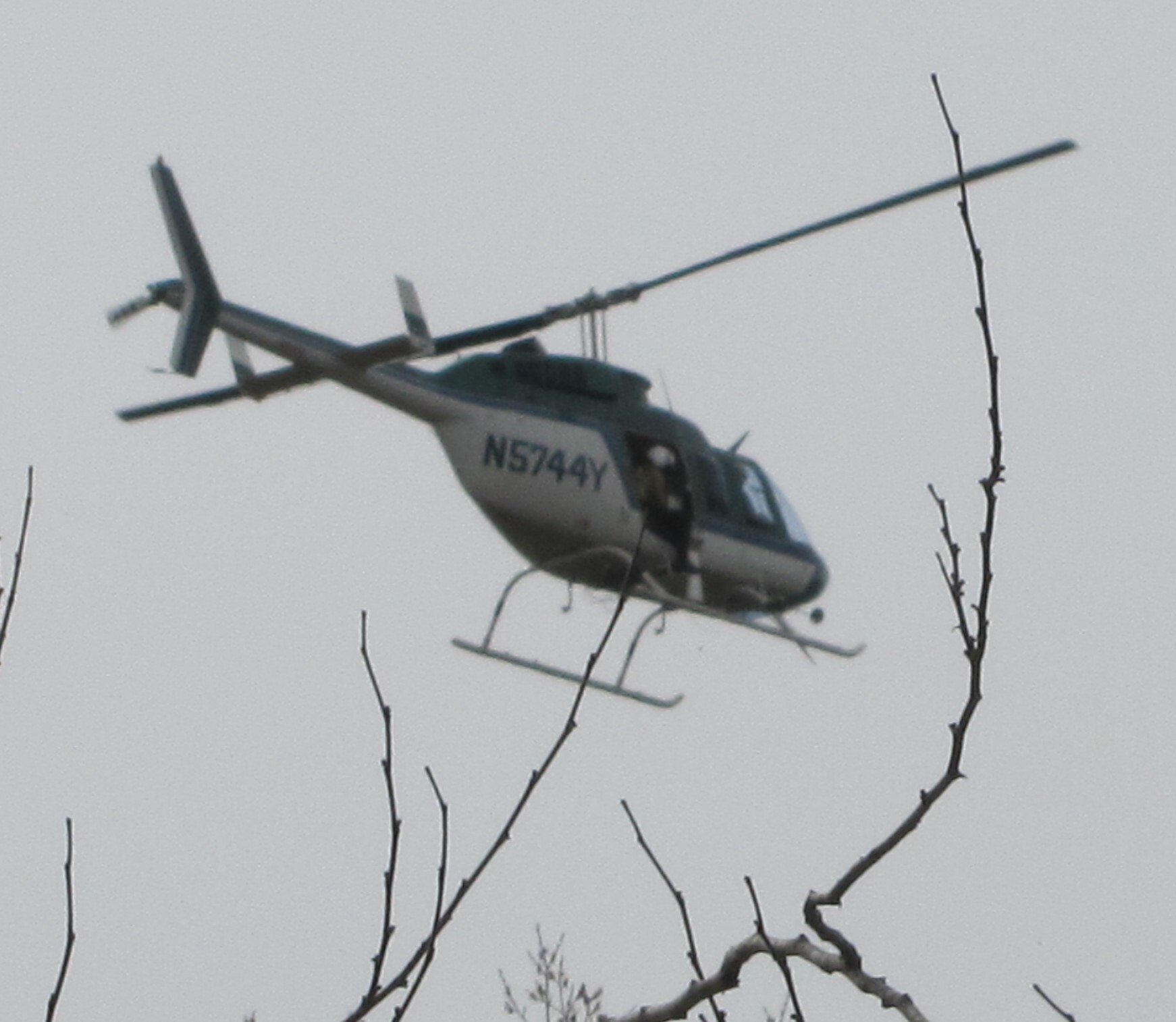 color photo of helicopter in flight against gray sky with a few tree branches at bottom and right.