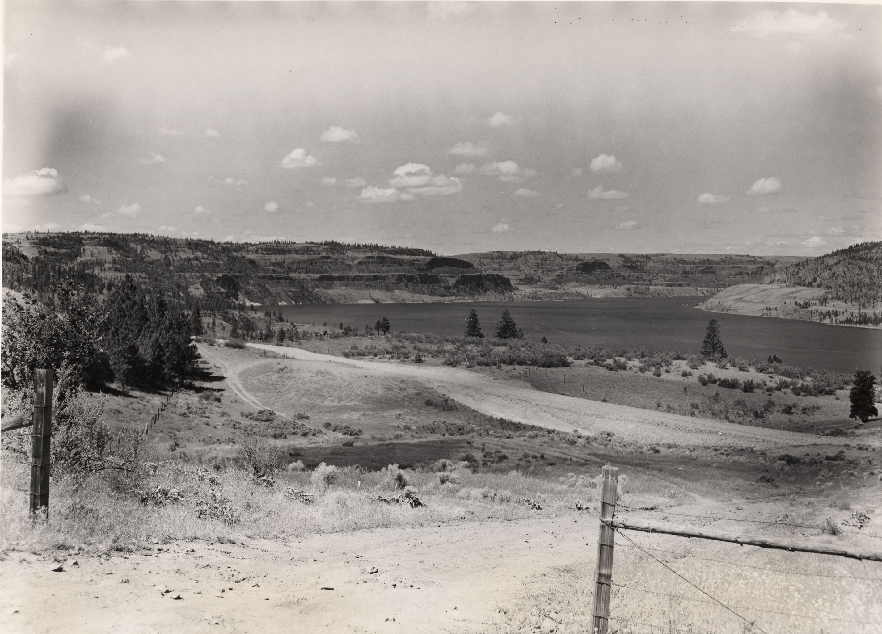 Black and white photograph of a road disappearing down a shrubby slope towards a large body of water