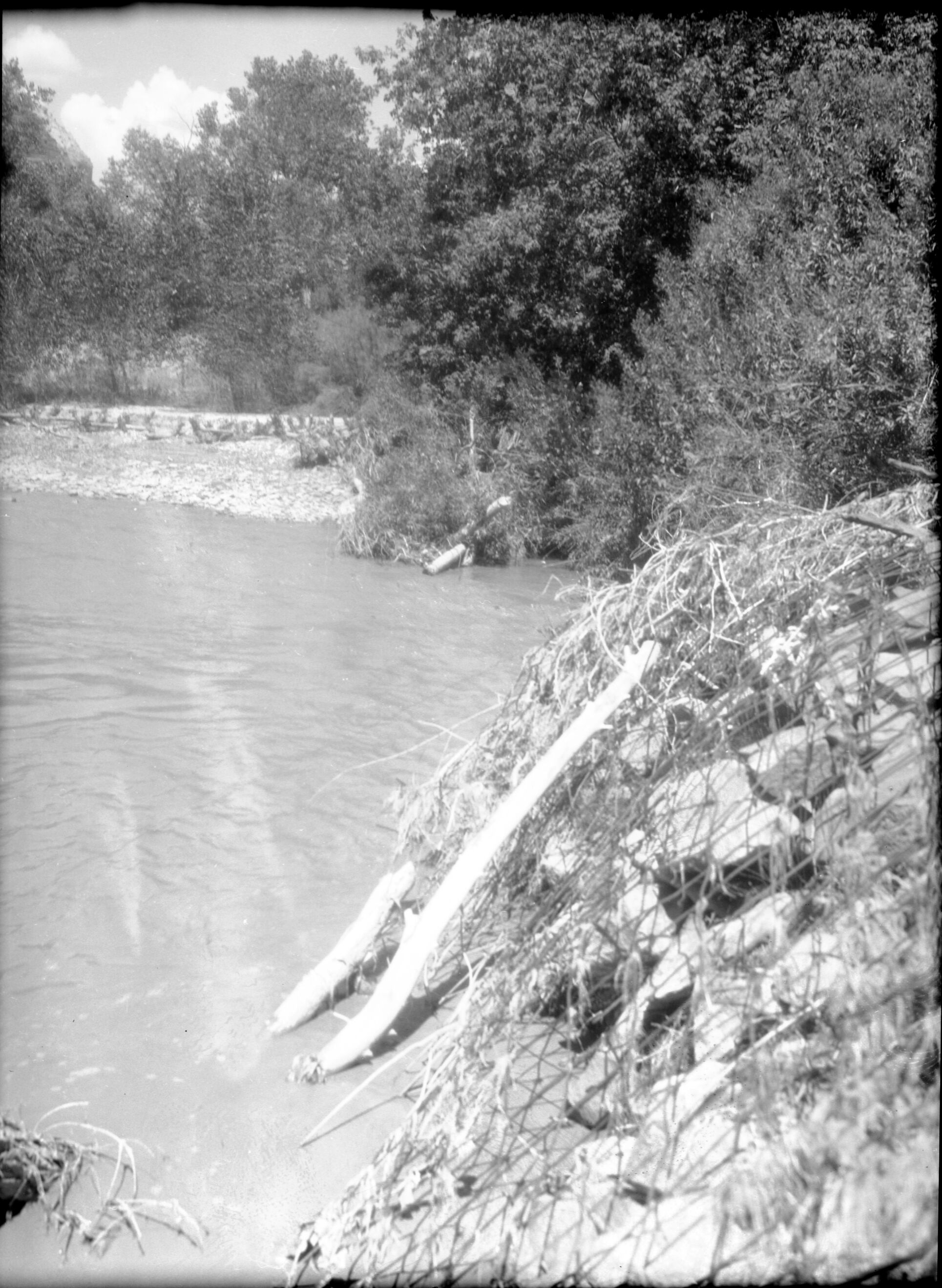 Willow 'spider' jetties near Union Pacific Sewer farm. Upper end well-silted, lower end needs additional treatment. [dents, scratches, pits]