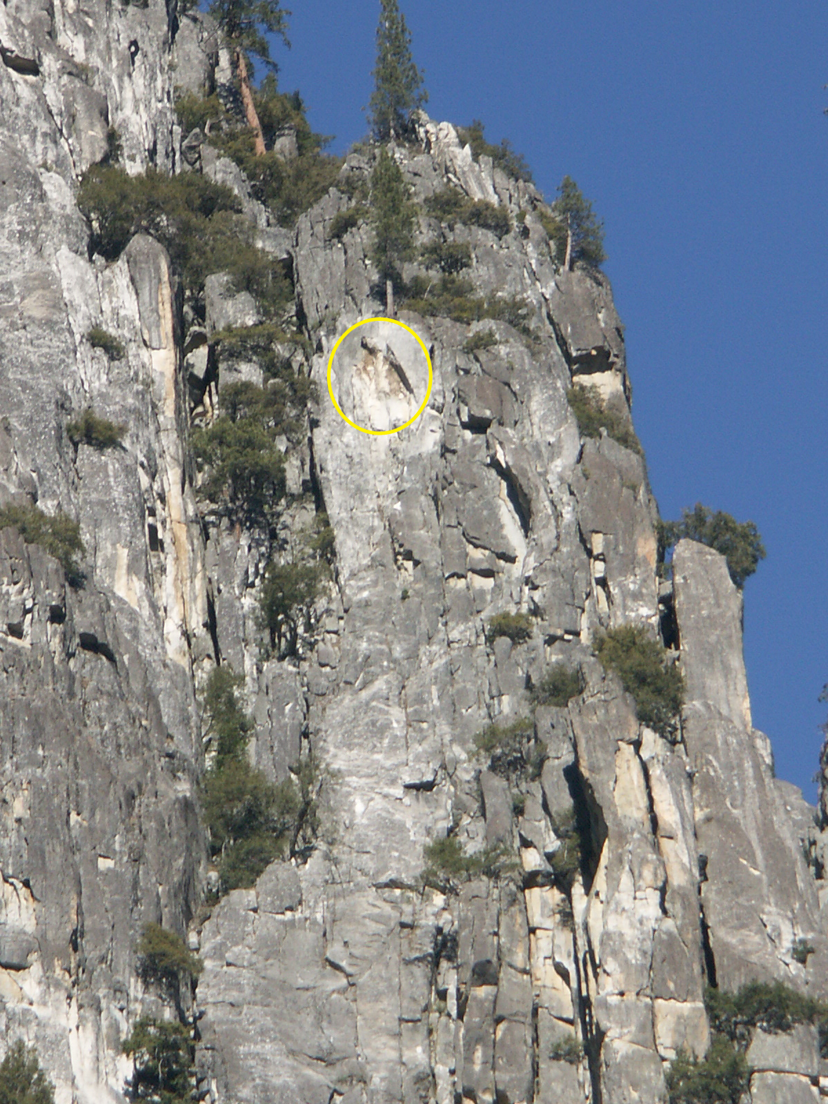 A close perspective of source area on cliff, circled in yellow.