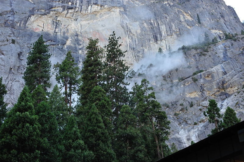 A row of trees in front of a steep rock cliff. White dust clouds rise from behind the trees.