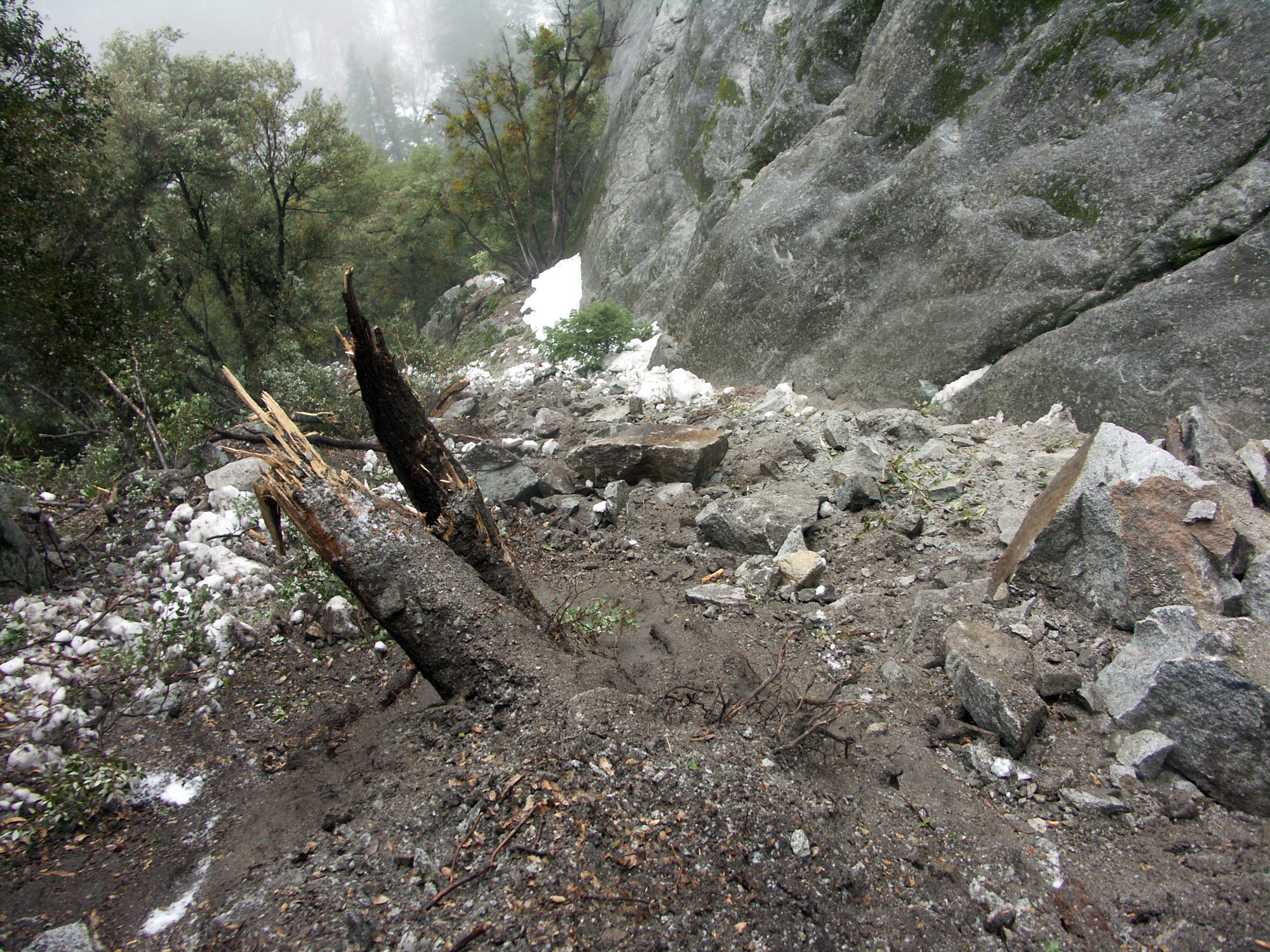 A shattered tree trunk and impact area covered in fresh rock debris at the base of a cliff.