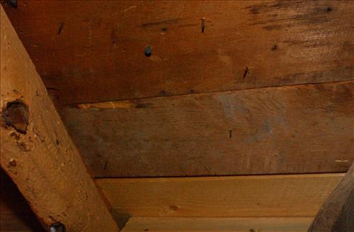 BADL Facility Management: Cedar Pass District - #129 Cedar Pass Cabin #33 - Deficiencies and interior views