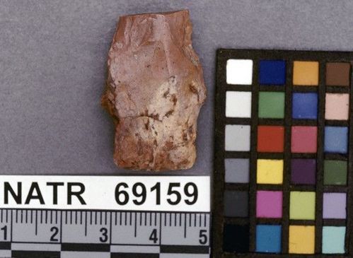 NATR   69159 -- Untyped projectile point