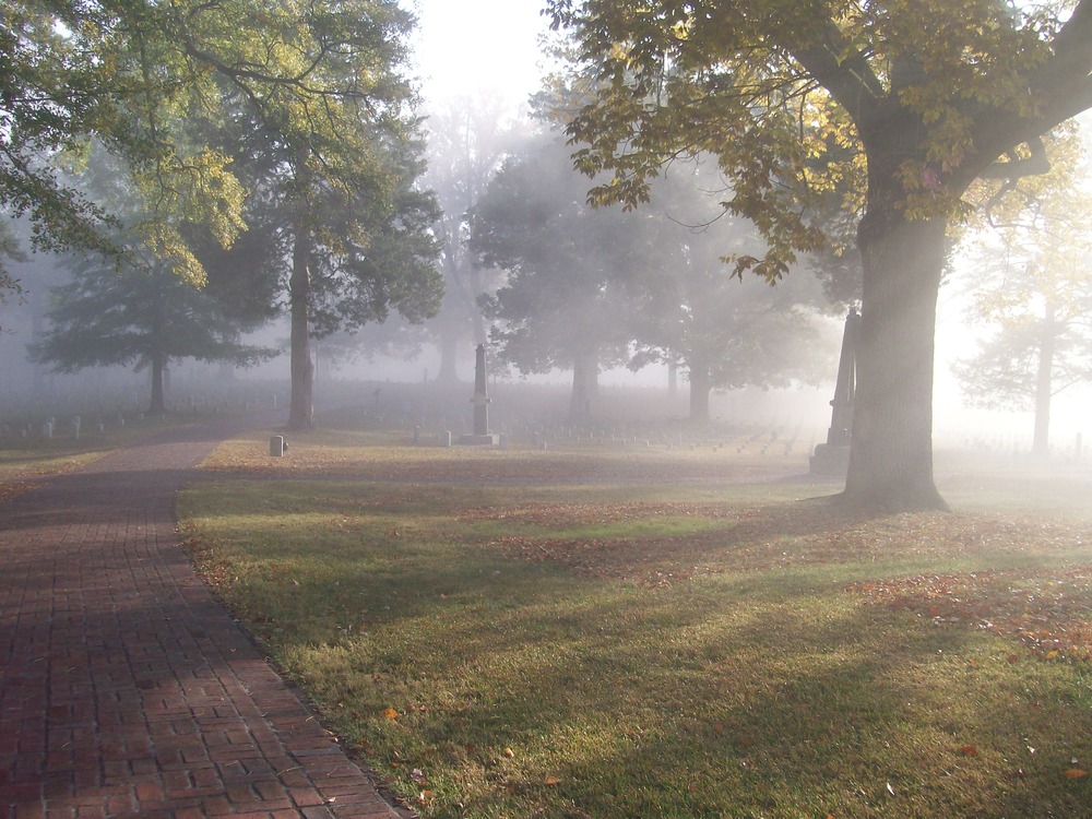 Fog in the cemetery