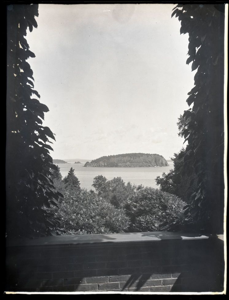 Vista of Bald Porcupine from Old Farm porch looking through vines