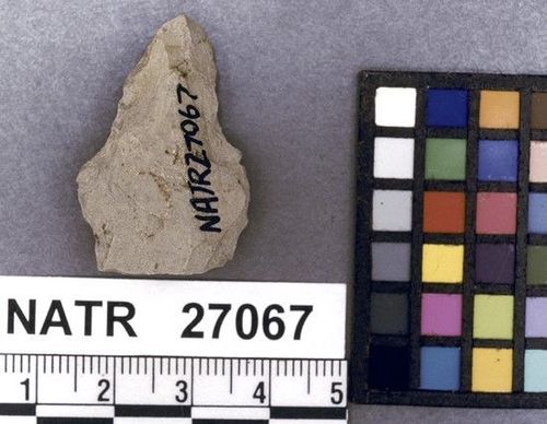 NATR   27067 -- Gary projectile point