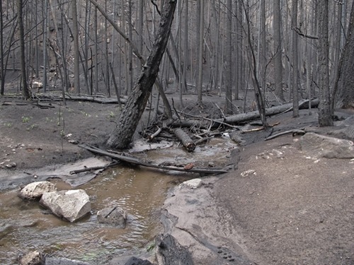 Upper Crossing after the Las Conchas Fire.