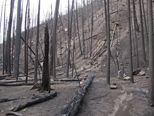 Upper Crossing after fire