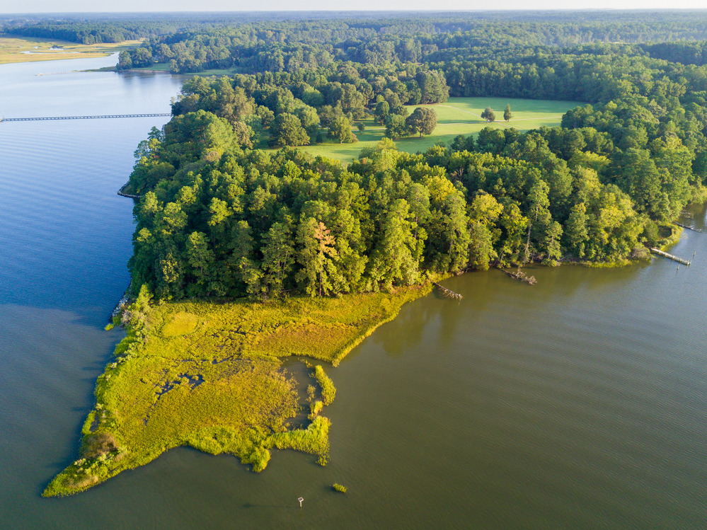 Aerial photograph of water and inland coves, land covered with tress. 