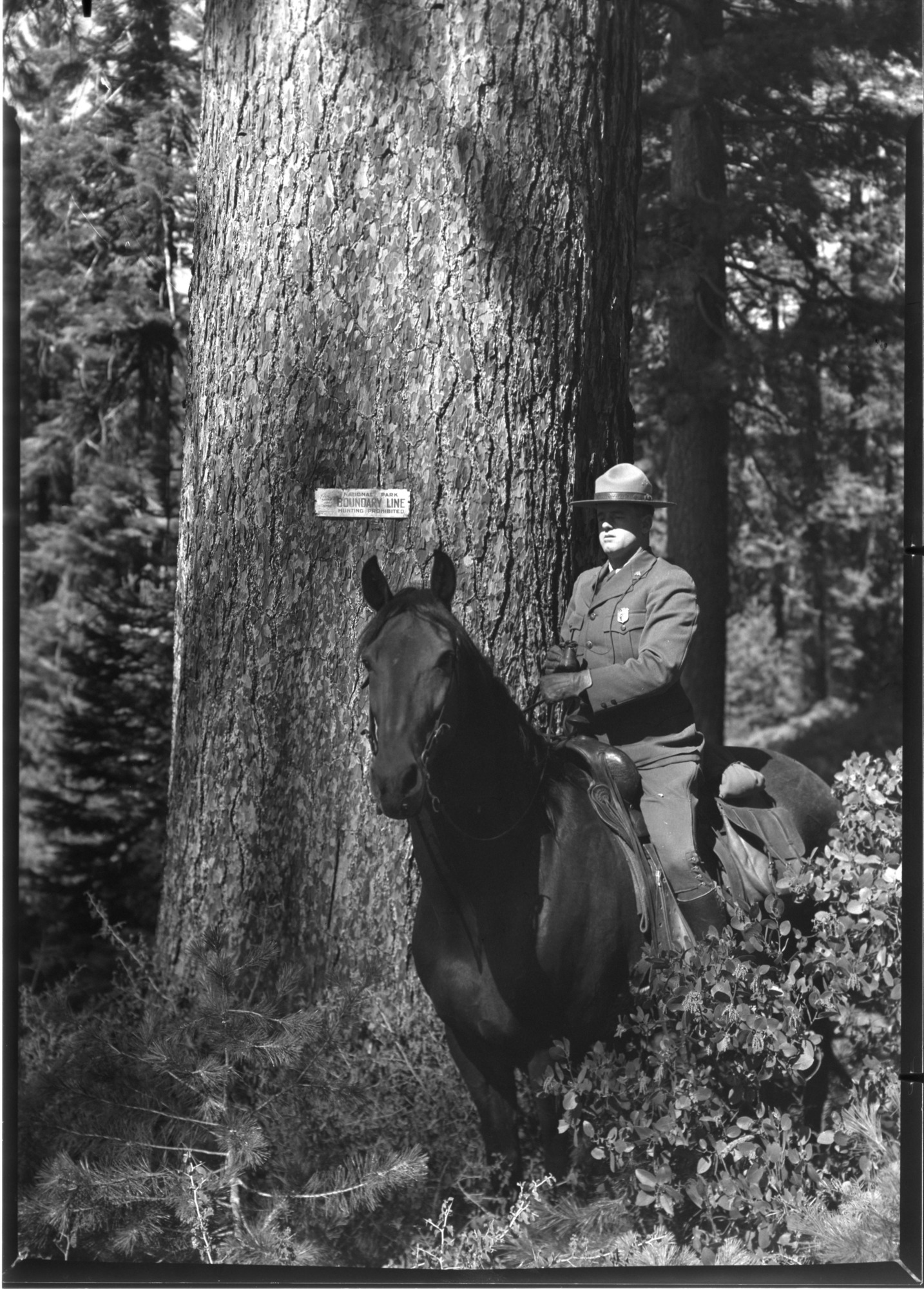 Ranger Reynolds patrolling boundary.