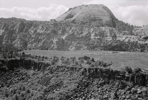 BW photo of the 1937 grazing study 35MM. Photo in southern Lee Valley.