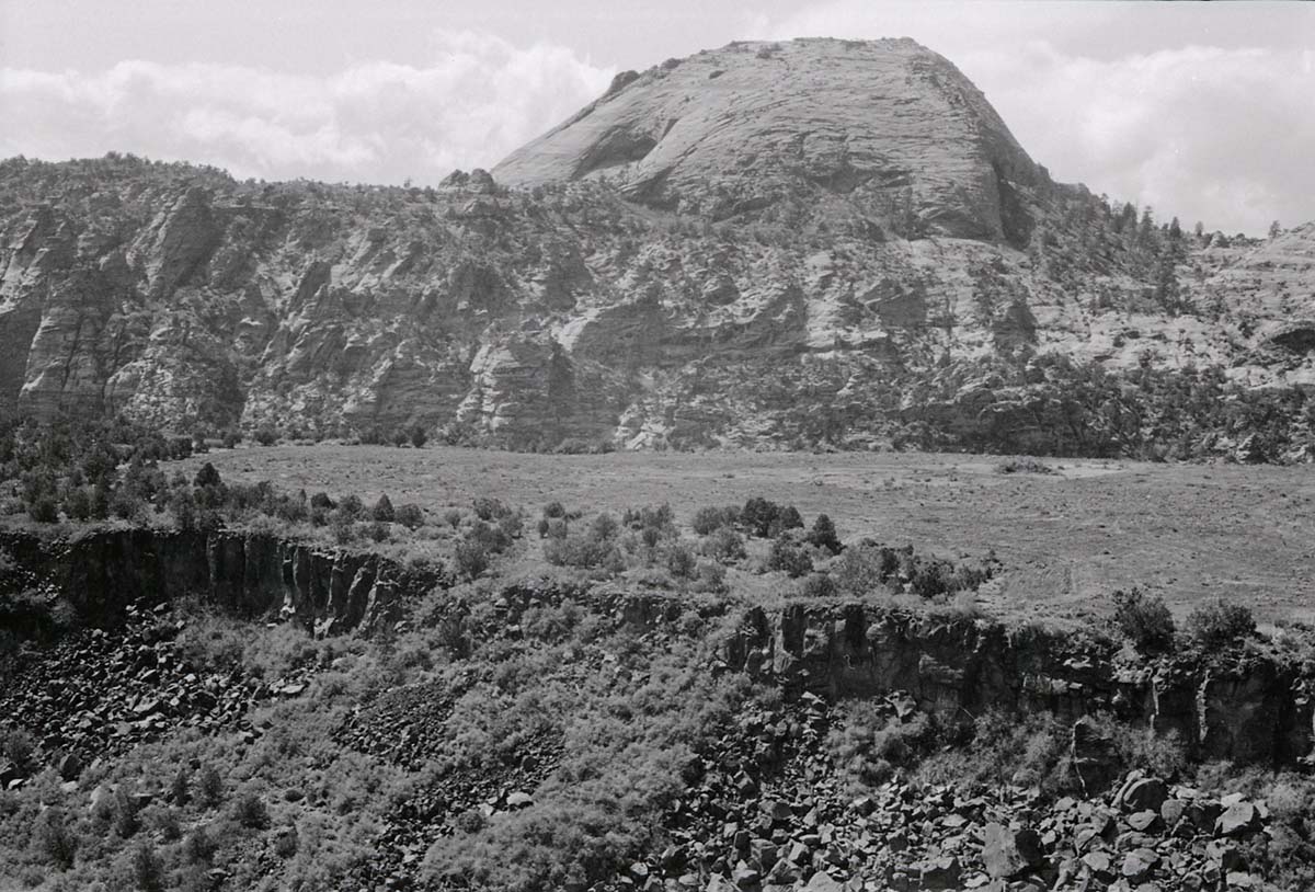 BW photo of the 1937 grazing study 35MM. Photo in southern Lee Valley.