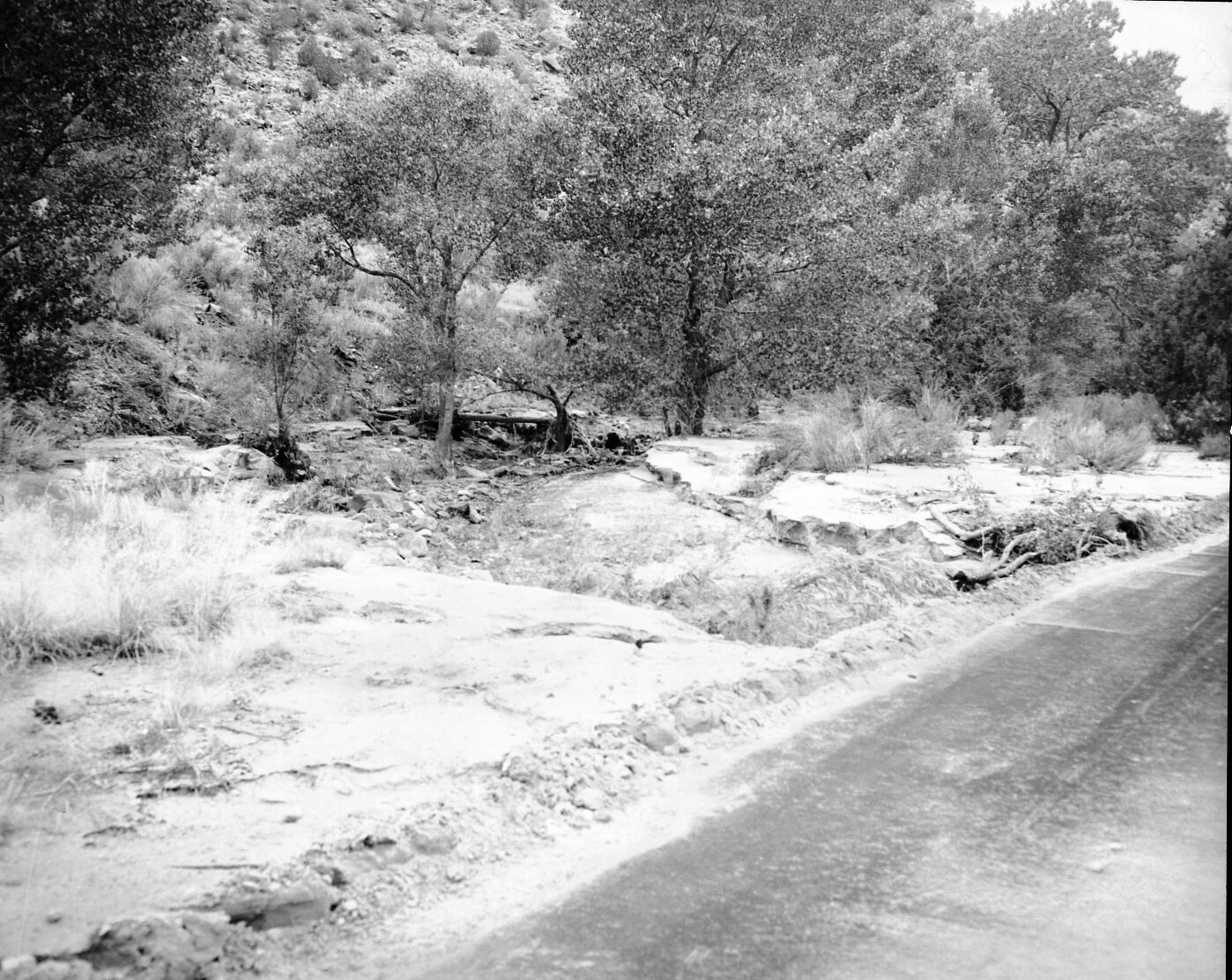 Flood damage - 0.68-inch of rain in a few minutes. Looking up stream from bridge, debris above bridge near Oak Creek residence area.