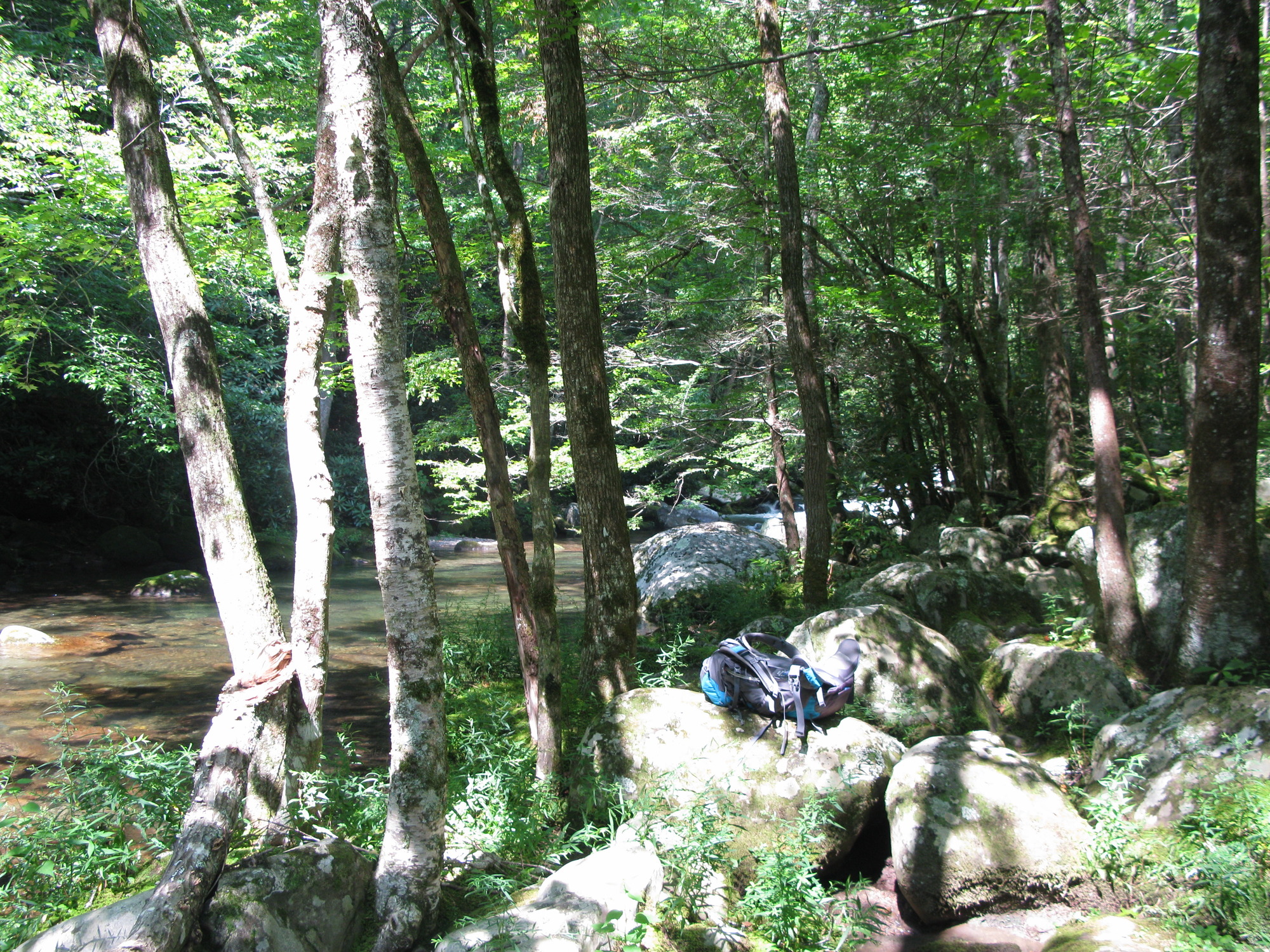 GRSM Accuracy Assessment. Plot Code: GRSM_AA_0244_4