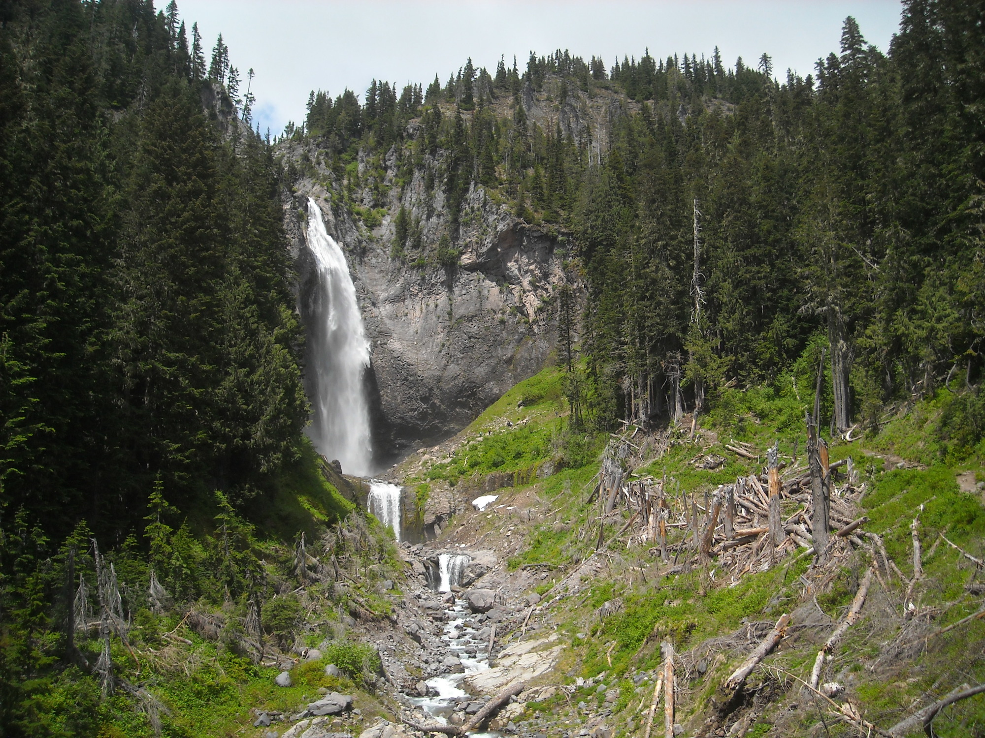 A tall waterfall in a narrow canyon with broken trees trunks along the edge of the creek below the falls. 