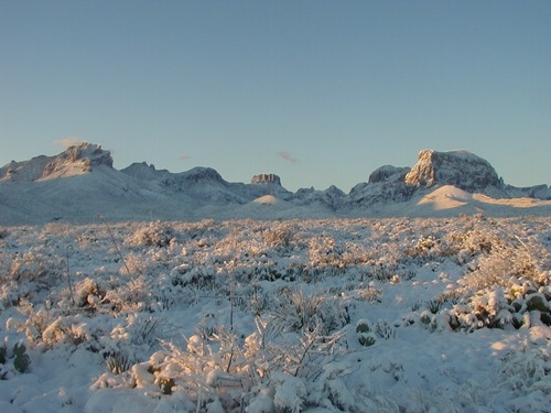 Snow on the slopes of Green Gulch.