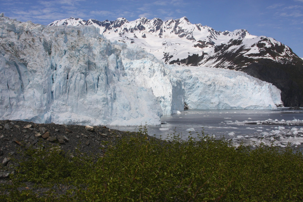 Profile of Aialik Glacier - 2010