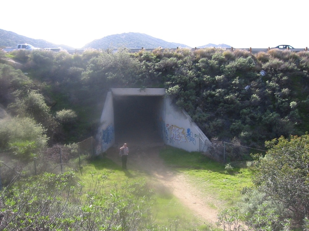 Hwy118Tunnel