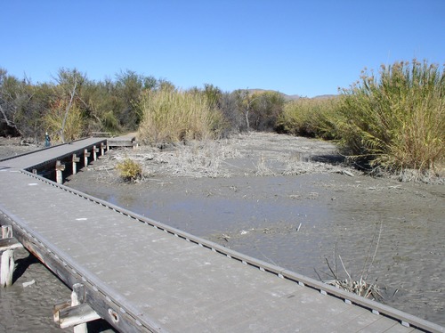 The pond drained; 13 December 2006