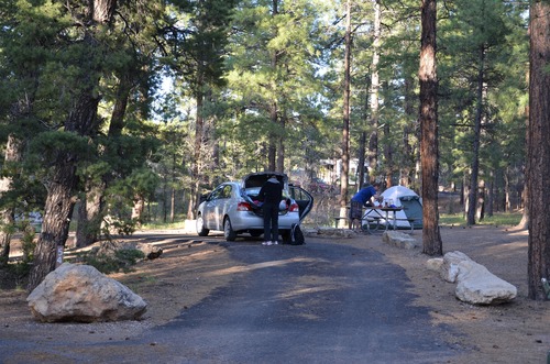 Grand Canyon Mather Campground SR 6022