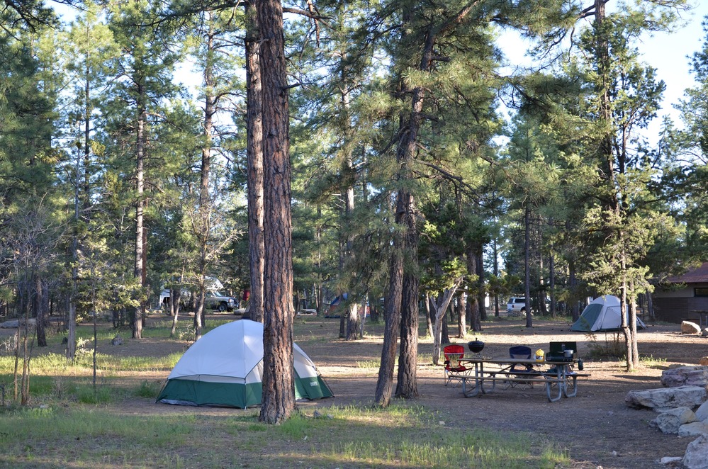 Grand Canyon Mather Campground SR 6024