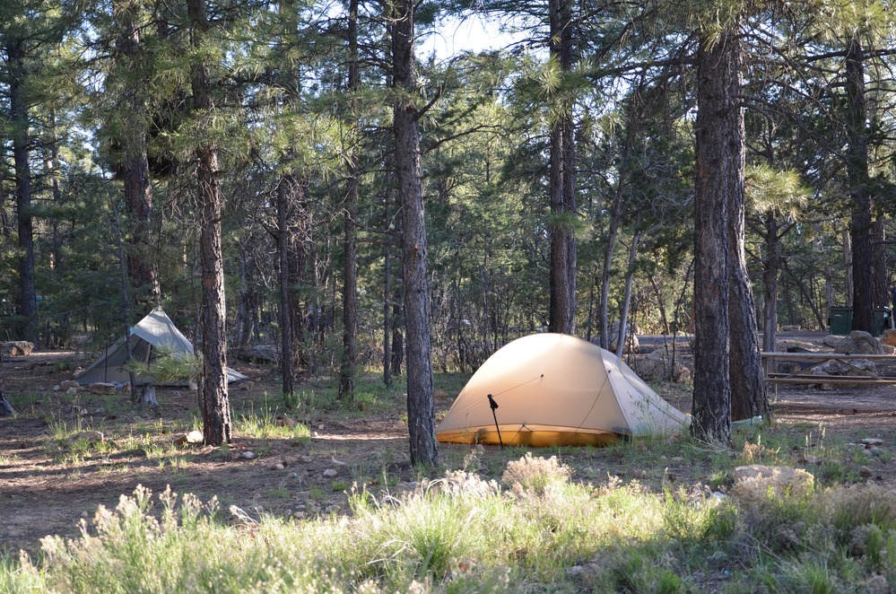Grand Canyon Mather Campground SR 6005