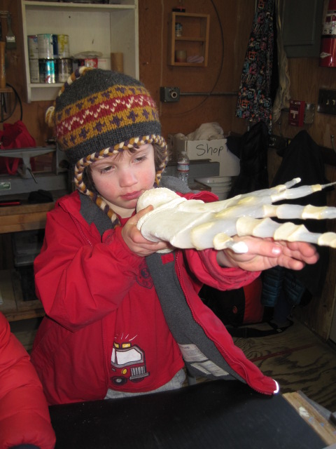 A young student compares his hand to a juvenile killer whale's and finds it quite similar.