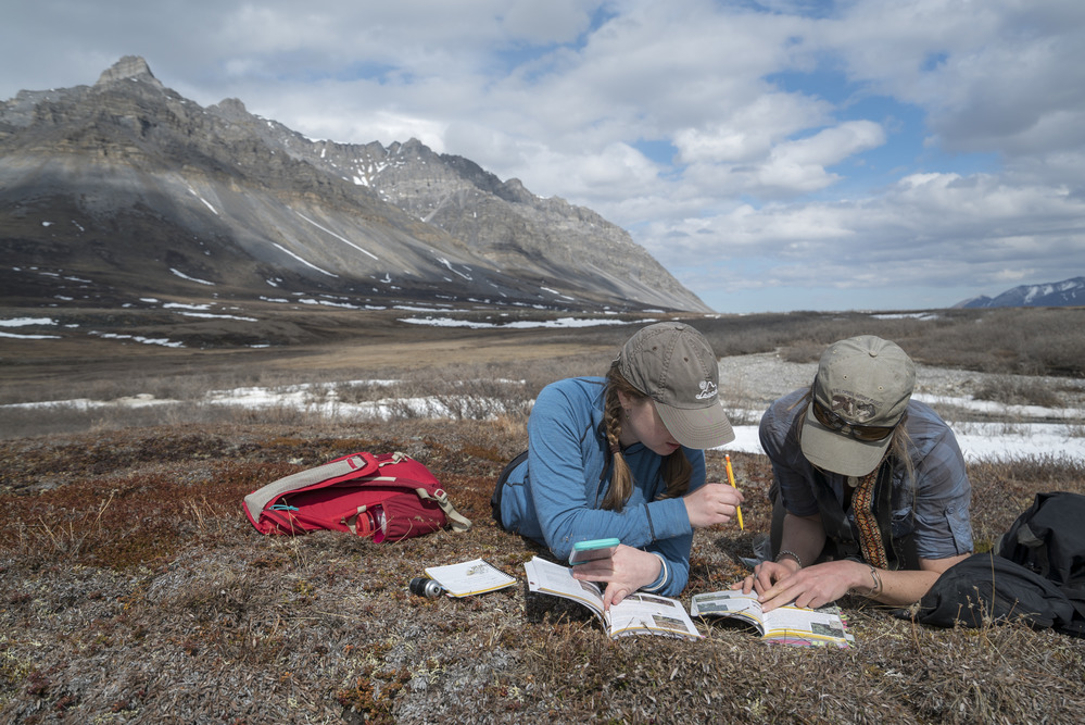 two researchers in the field