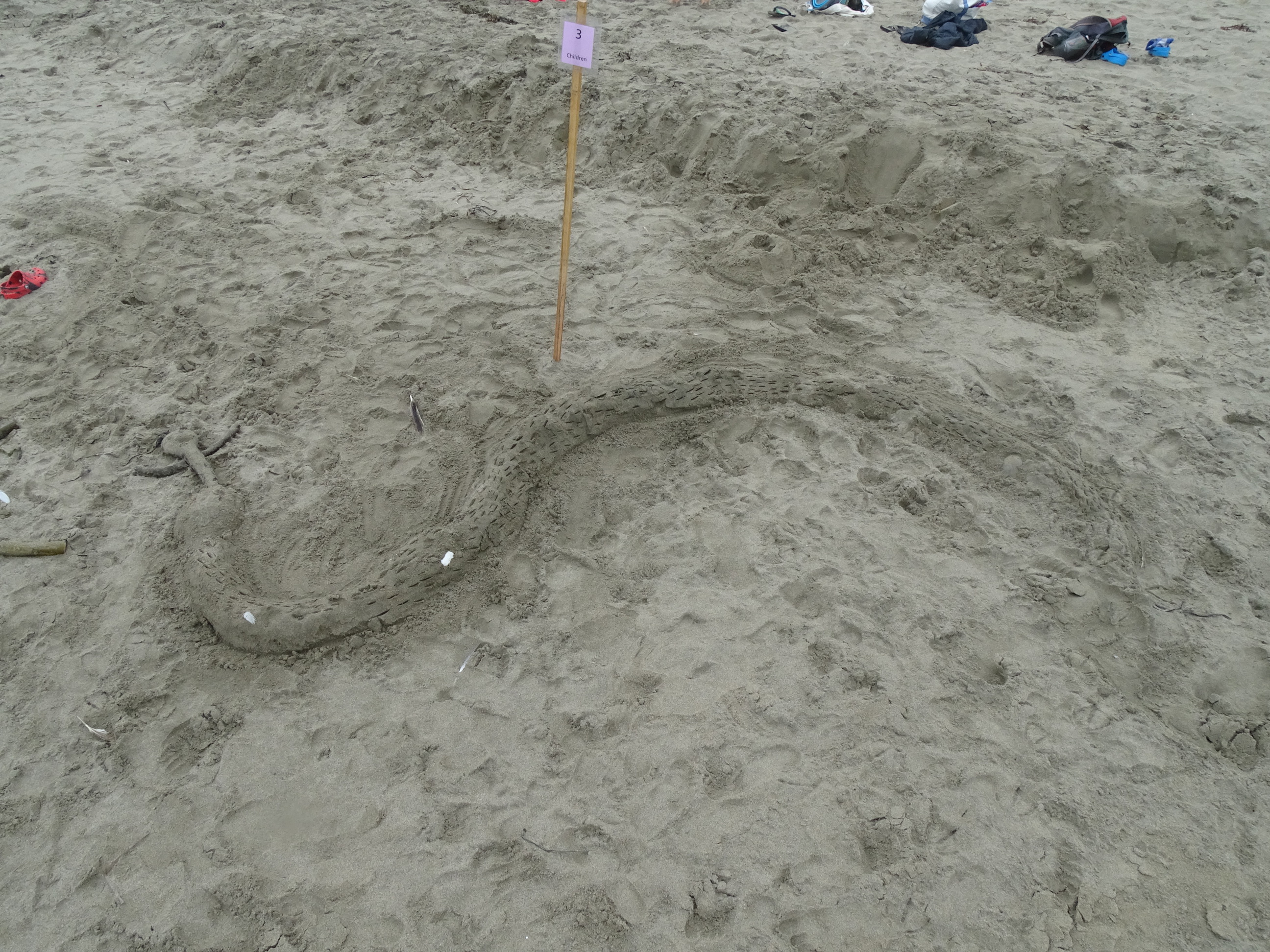 A sand sculpture of a large snake eating a person made of bull kelp.