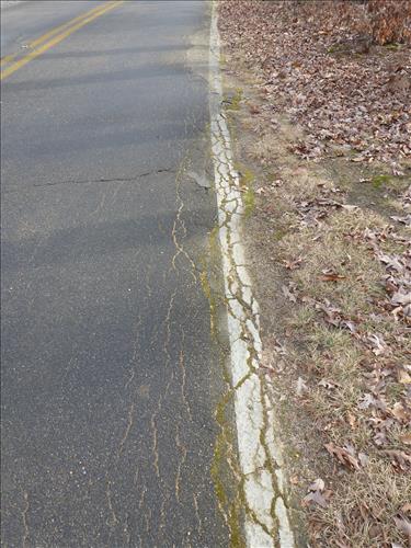 Resurface Turkey Run and Oak Ridge Campground Loop Roads in February 2012