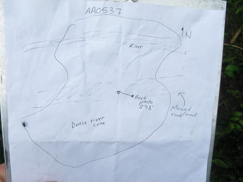 GRSM Accuracy Assessment. Plot Code: GRSM_AA_0537_7