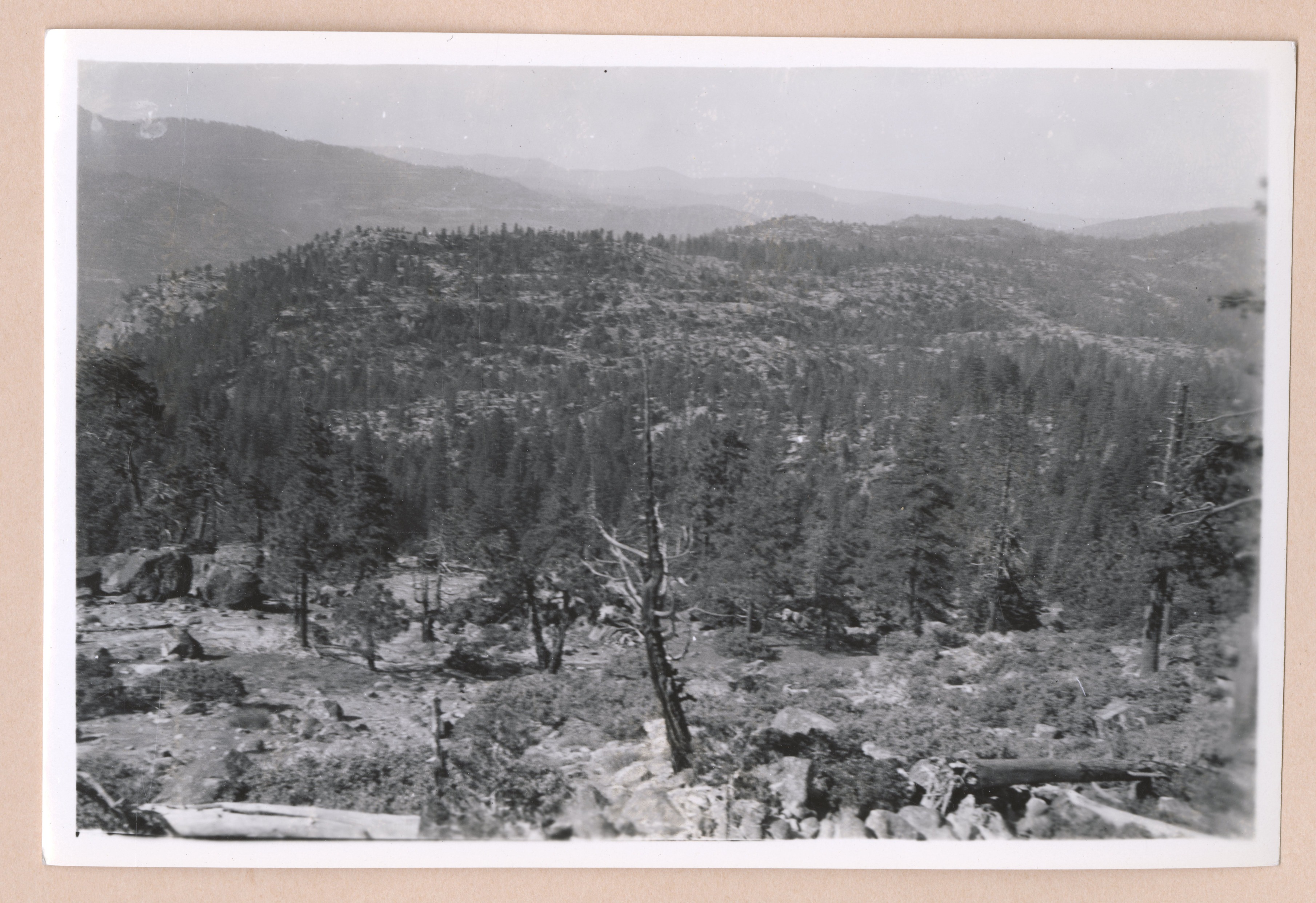 JC-Ap Ama, semi-barren type, Sec 4, T1N, R20E, sample plot 123 (type south of Miguel Meadows Rd)